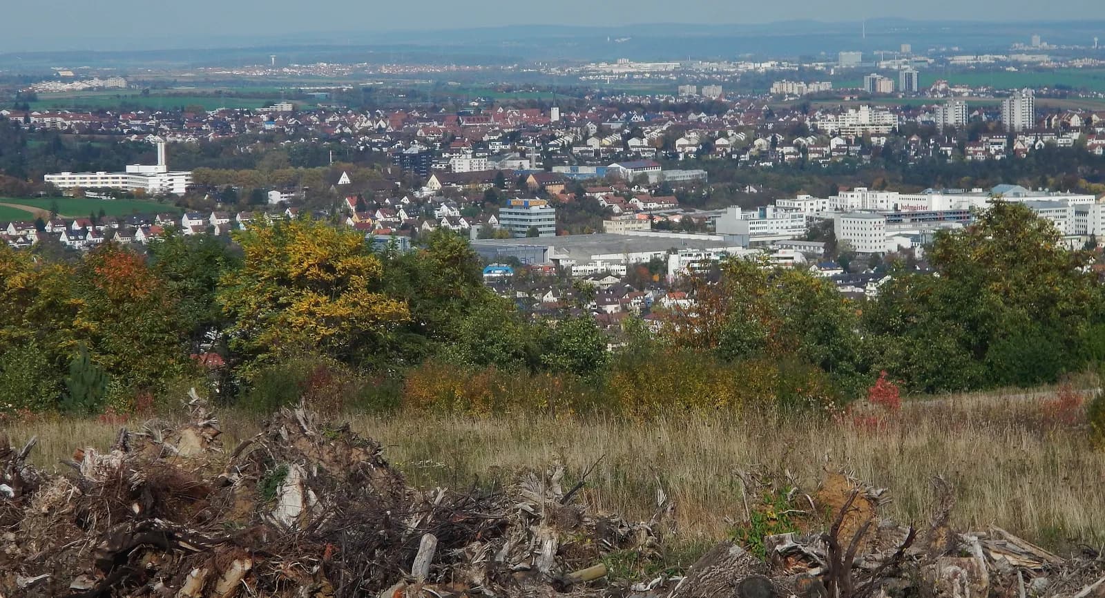 Ausblick auf Leonberg vom Eltinger Blick